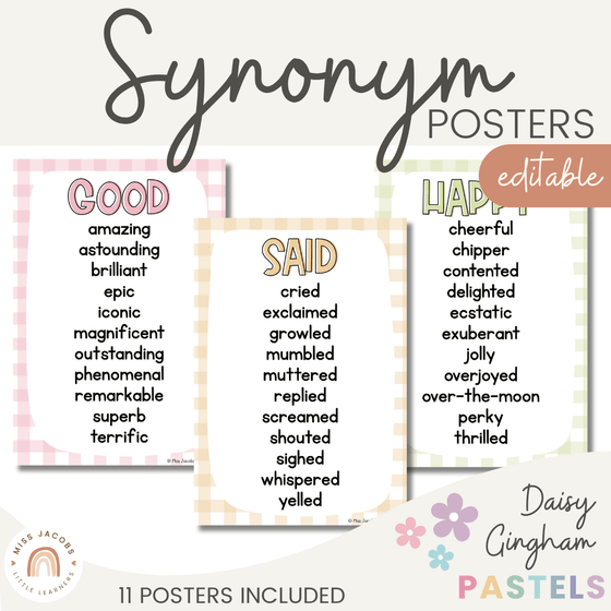 Daisy Gingham Pastels Synonym Posters - Miss Jacobs Little Learners