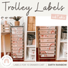 Earthy Rainbow Trolley Labels | Editable - Miss Jacobs Little Learners