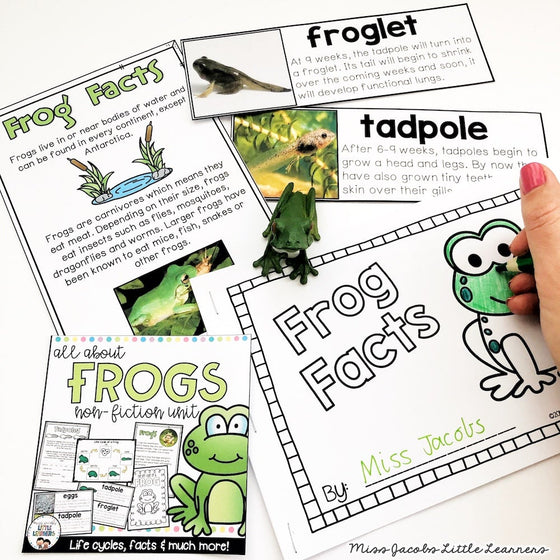 Frogs Thematic Unit | All about Frogs and Frog Life Cycles - Miss Jacobs Little Learners