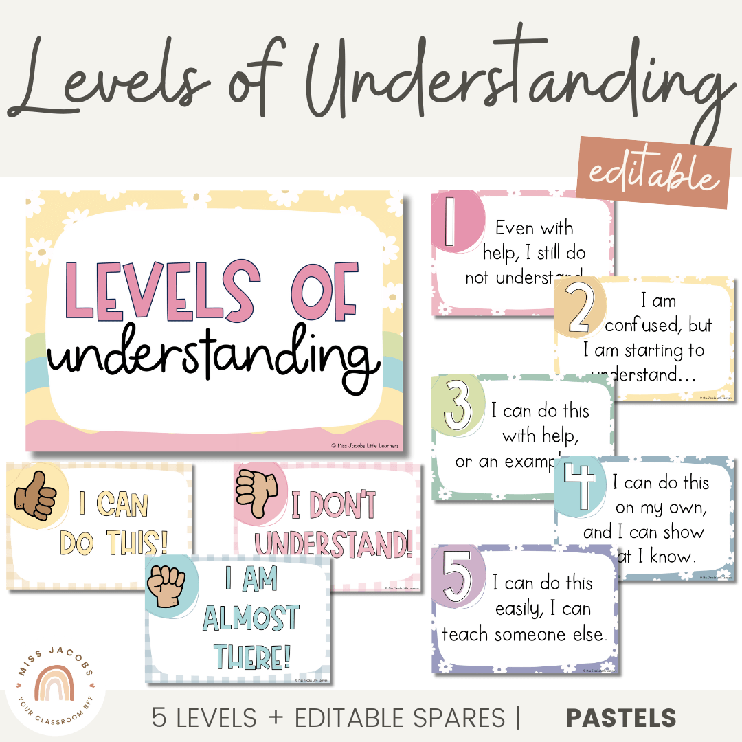 Levels of Understanding Posters with visuals Daisy Gingham Pastels