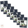 Number Posters | Rustic BOHO PLANTS decor - Miss Jacobs Little Learners