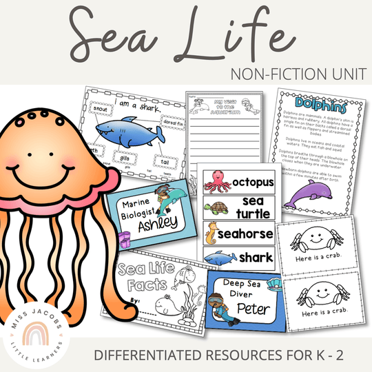 Ocean Life | Under The Sea Unit