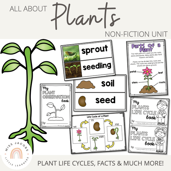 Plants Unit: Living Things and Plant Life Cycles - Miss Jacobs Little Learners