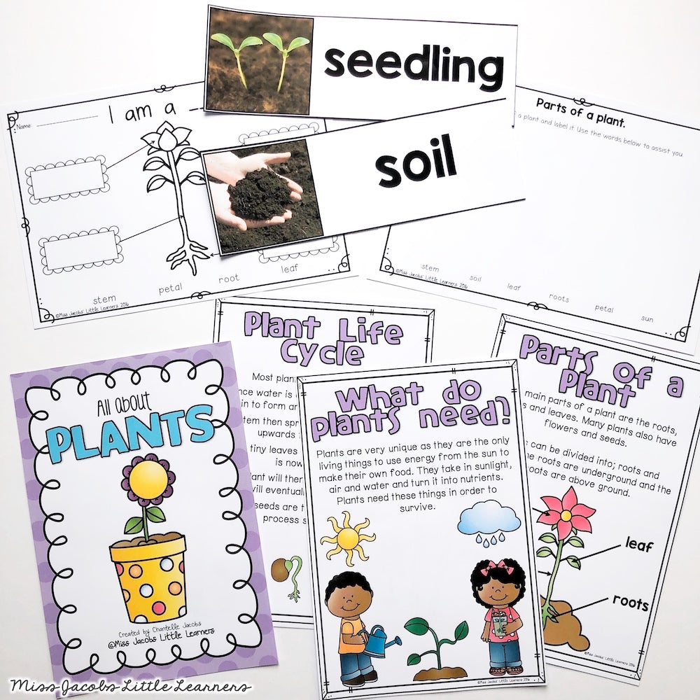 Plants Unit: Living Things and Plant Life Cycles - Miss Jacobs Little ...