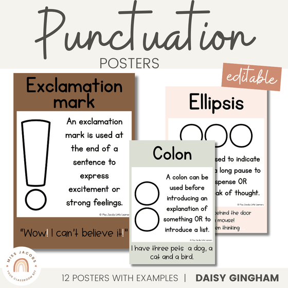Punctuation Posters | Daisy Gingham Neutrals English Classroom Decor - Miss Jacobs Little Learners