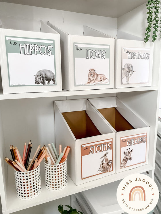 Reading Group Organizers & Labels | MODERN JUNGLE Vibes Classroom Decor - Miss Jacobs Little Learners