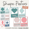 Shape Posters | Modern Rainbow | Calm Classroom Decor | Editable - Miss Jacobs Little Learners