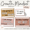 Spotty Boho Themed Growth Mindset Posters | Neutral Rainbow Color Palette | Editable - Miss Jacobs Little Learners