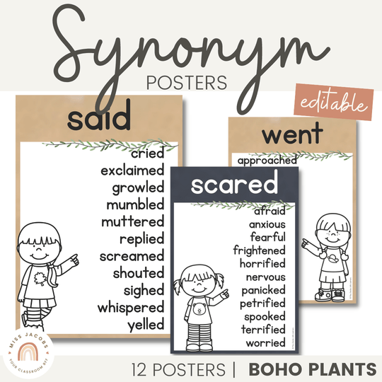 Synonym Posters - Boho Plants Classroom Decor