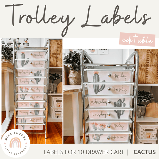 Teacher Trolley Drawer Labels | Cactus Theme | Editable