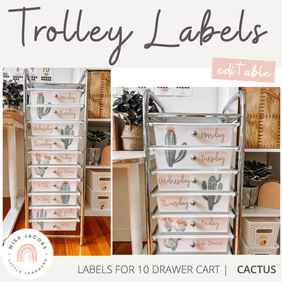 Teacher Trolley Drawer Labels | Cactus Theme | Editable - Miss Jacobs Little Learners