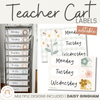 Teacher Trolley Labels | 10 Drawer Cart Labels Daisy Gingham Theme - Miss Jacobs Little Learners