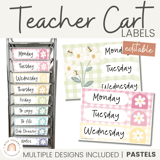 Teacher Trolley Labels | 10 Drawer cart labels in Daisy Gingham | Editable - Miss Jacobs Little Learners